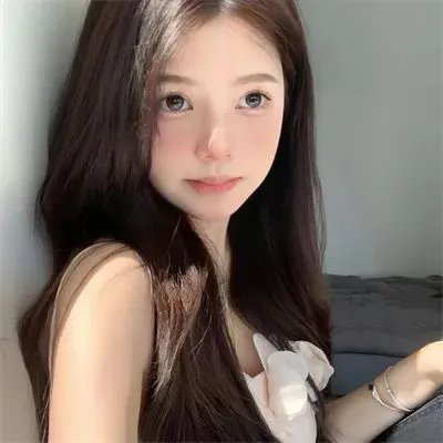 汪星人的奇思妙想