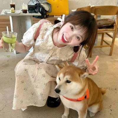 迷人的图画